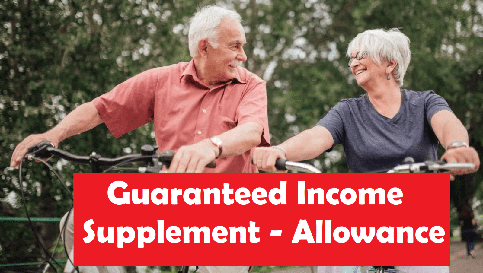 Guaranteed Income Supplement GIS